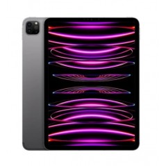 Apple iPad Pro 11' 2022 4th WiFi Cell/ 5G/ M2/ 256GB/ Gris Espacial - MNYE3TY/A