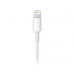Cable Apple MXLY2ZM/A de conector Lightning a USB 2.0/ 1m